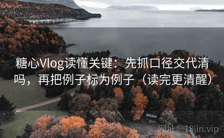 糖心Vlog读懂关键：先抓口径交代清吗，再把例子标为例子（读完更清醒）  第2张