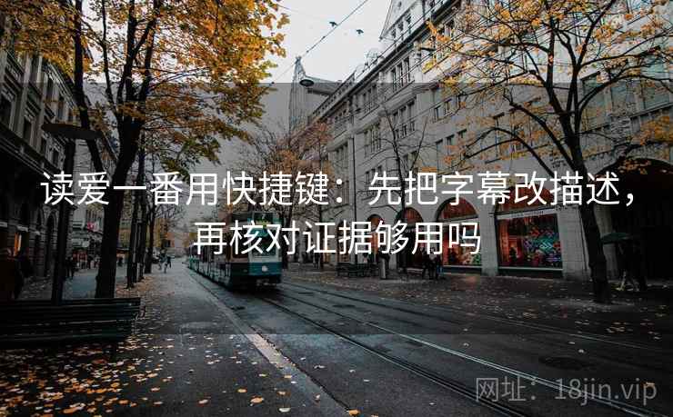读爱一番用快捷键：先把字幕改描述，再核对证据够用吗
