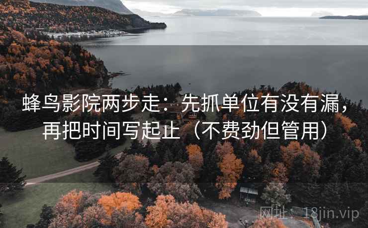 蜂鸟影院两步走：先抓单位有没有漏，再把时间写起止（不费劲但管用）  第2张