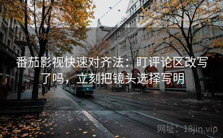番茄影视快速对齐法：盯评论区改写了吗，立刻把镜头选择写明