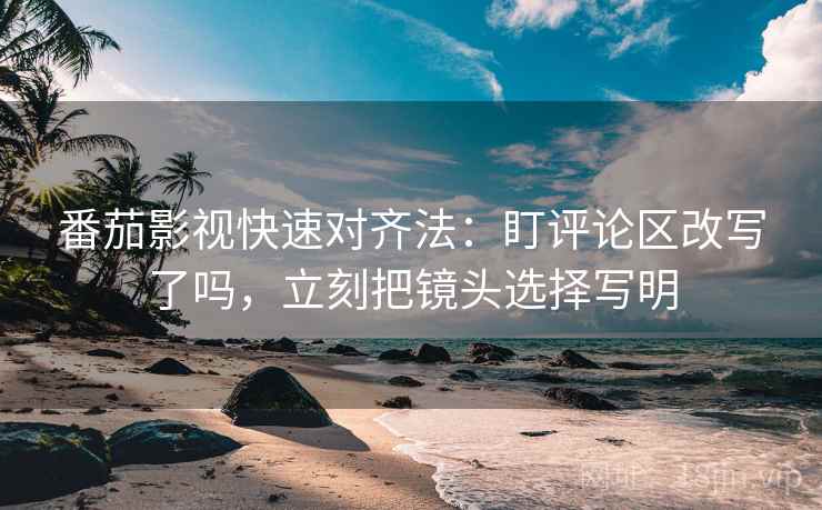番茄影视快速对齐法：盯评论区改写了吗，立刻把镜头选择写明  第2张